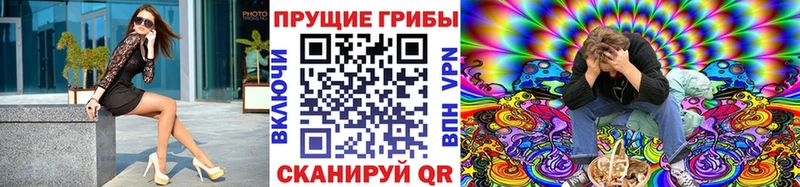 Псилоцибиновые грибы Psilocybine cubensis где купить наркоту Горячеводский
